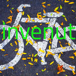 Immagine: biciclette_rinvenute1