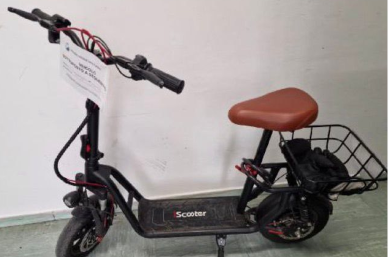 Immagine: Immagine 2026-02-25 134003