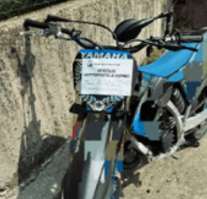 Immagine: Immagine 2026-08-19 165816
